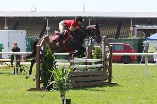 pimlicohorseshow2015_1737