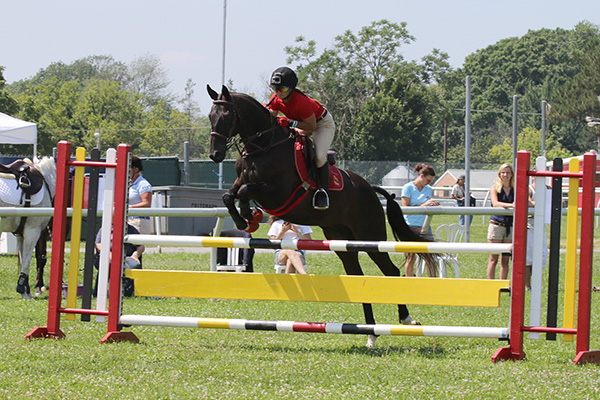 pimlicohorseshow2015_1753