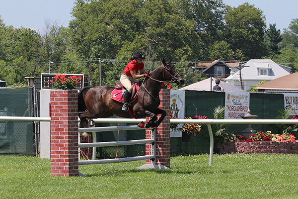 pimlicohorseshow2015_1778