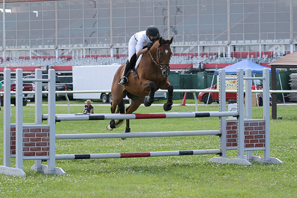 pimlicohorseshow2015_1794