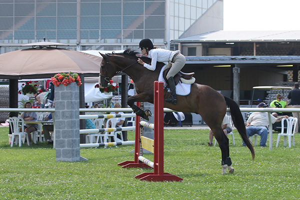 pimlicohorseshow2015_1838