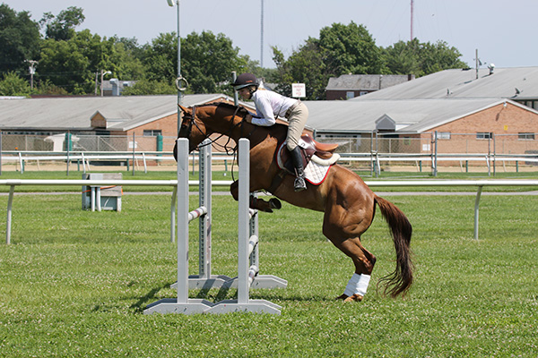 pimlicohorseshow2015_1974