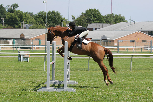 pimlicohorseshow2015_2000