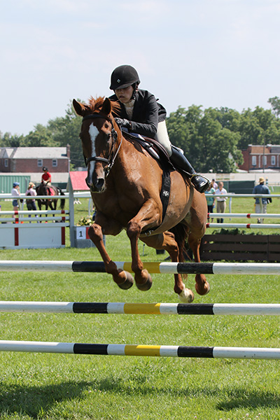 pimlicohorseshow2015_2023