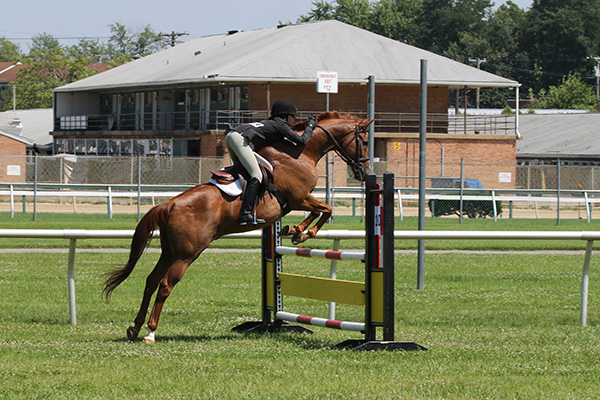 pimlicohorseshow2015_2030