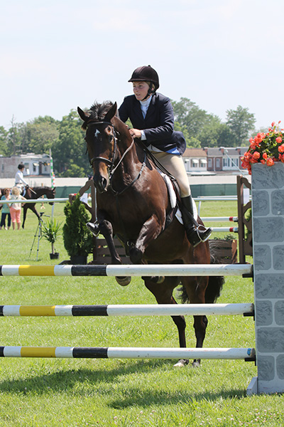 pimlicohorseshow2015_2111