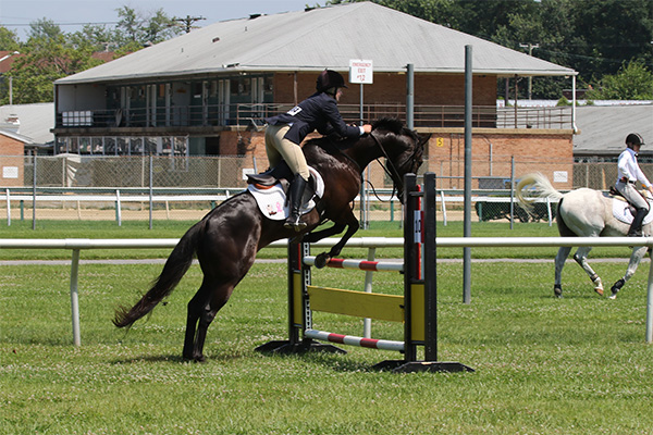 pimlicohorseshow2015_2122