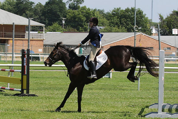 pimlicohorseshow2015_2142