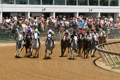 Arabian Race