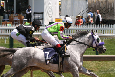 Arabian Race