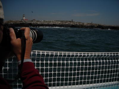 puffintrip0662