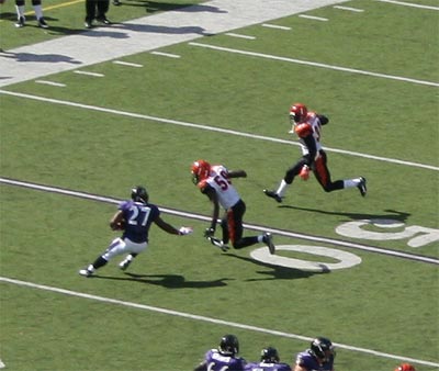 rayrice1