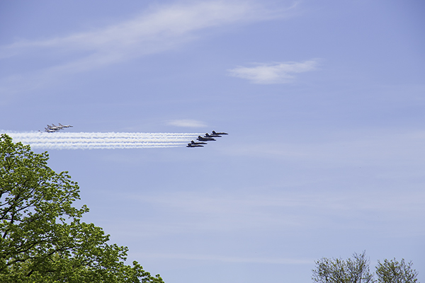 Thunderbirds and Blue Angels