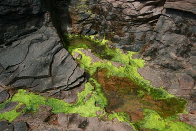 Thunder Hole