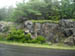 acadiaNP0559