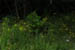 acadiaNP0620