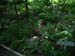 acadiaNP0710