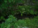 acadiaNP0726
