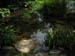 acadiaNP0742