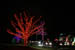 herrslights2013_6656