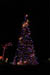 herrslights2013_6687