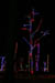 herrslights2013_6698