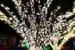herrslights2013_6778