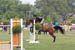 horseshowjuly2014_0396
