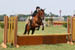 horseshowjuly2014_3408