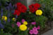 hotelflowers0829