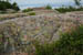 lichenrock3444
