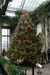 longwoodchristmas2012_0837
