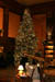 longwoodchristmas2012_0839