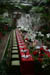 longwoodchristmas2012_0841