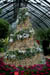 longwoodchristmas2012_0851