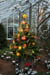 longwoodchristmas2012_0852