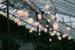 longwoodchristmas2012_0857