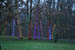 longwoodchristmas2012_0883