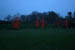 longwoodchristmas2012_0892