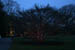 longwoodchristmas2012_0896