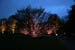 longwoodchristmas2012_0932